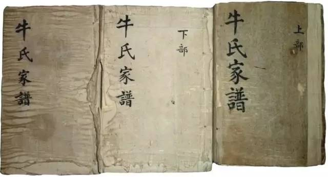 为什么北方人的祖籍都是大槐树|大象公会
