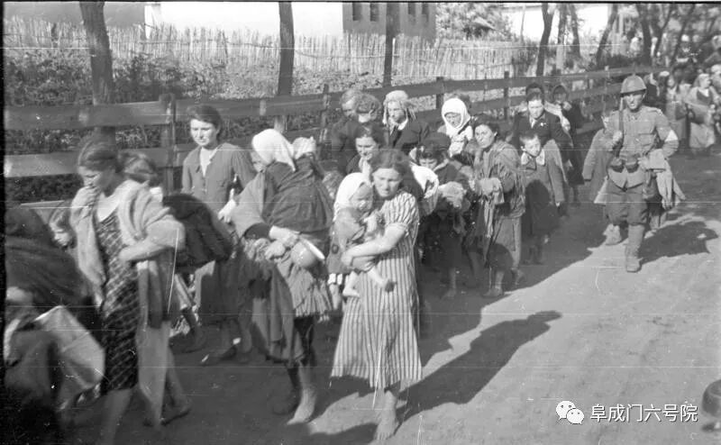 1914年的敖德萨屠杀
