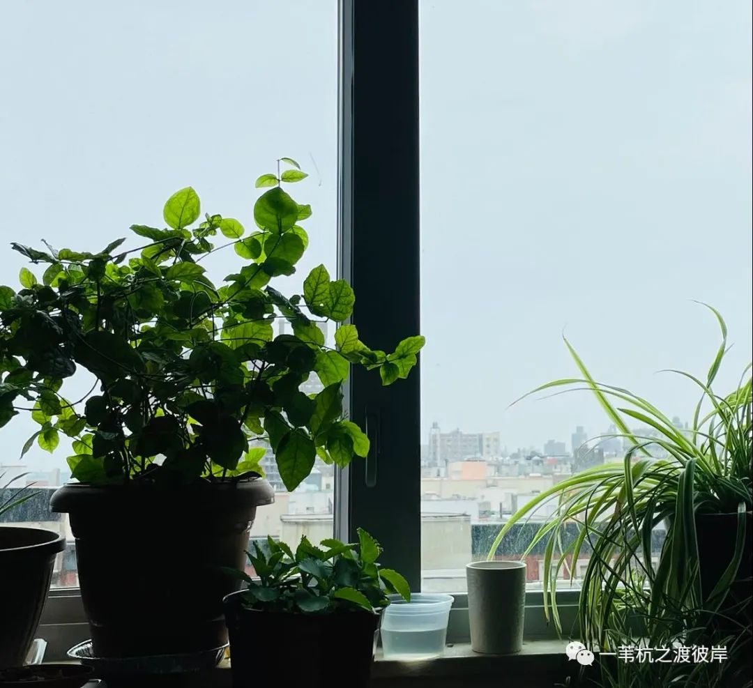 高耀洁