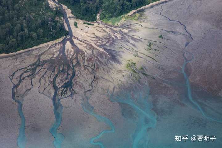 进化论与熵增