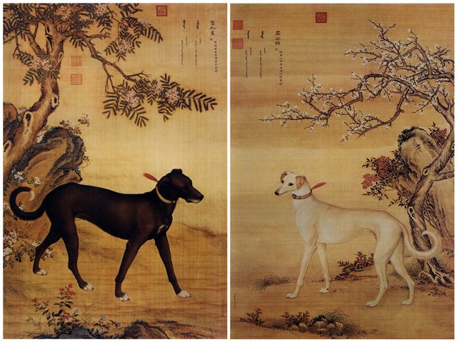 郎世宁,《十骏犬图》之雪爪卢、霜花鹞 郎世宁,《十骏犬图》之雪爪卢、霜花鹞