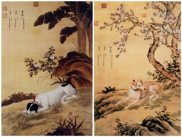 郎世宁,《十骏犬图》之蓦空鹊、睒星狼 郎世宁,《十骏犬图》之蓦空鹊、睒星狼