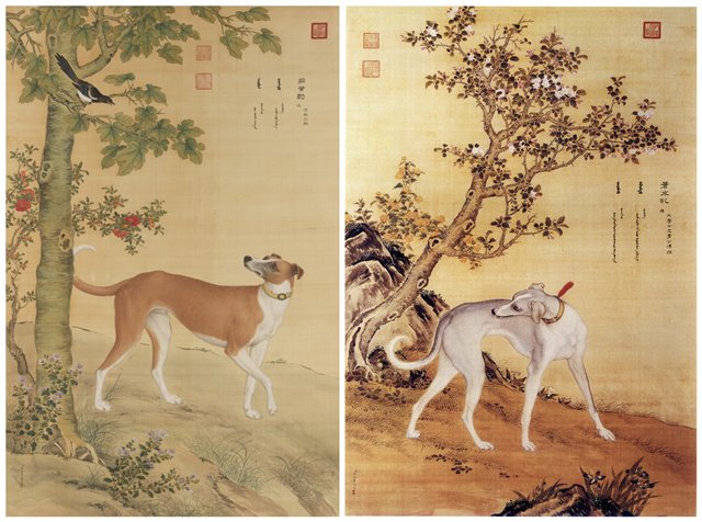 郎世宁,《十骏犬图》之茹黄豹、苍水虬 郎世宁,《十骏犬图》之茹黄豹、苍水虬