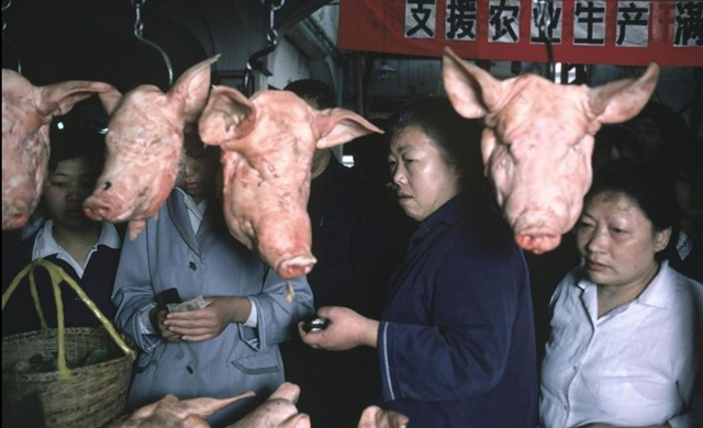王小妮: 36年前的春节供应