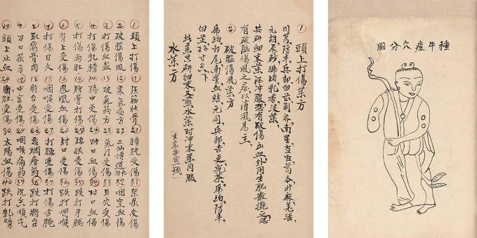 牛痘新书
