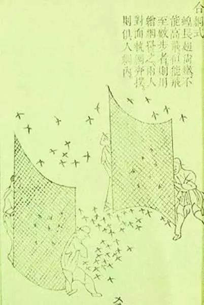 清代咸同之际的江南瘟疫-人文百科