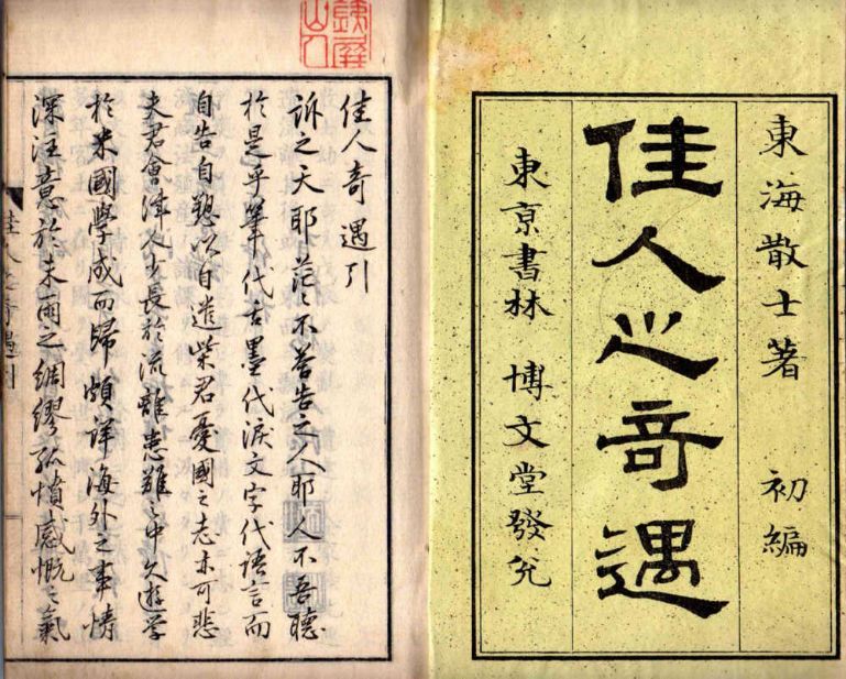 《佳人之奇遇》