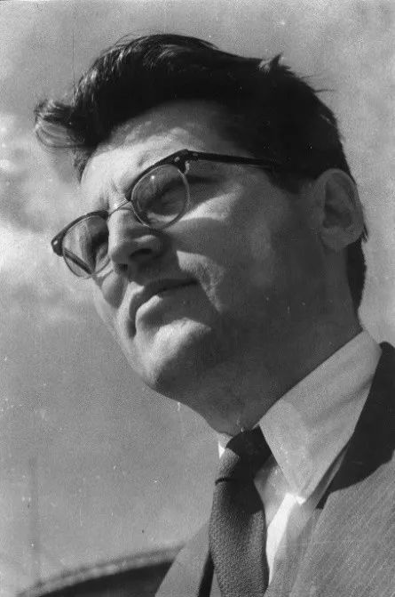 多布里察·乔西奇(Dobrica Ćosić)