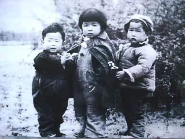 陶斯亮：耀邦叔叔-人文百科