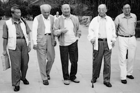 王元化百岁诞辰:“呕血心事无成败,拔地苍松有远声”(林同奇)