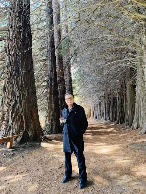 秦晖：与黑暗擦肩而过-人文百科