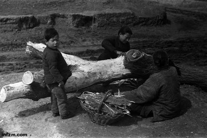 疮痍莫过眼神——1942-1944的河南