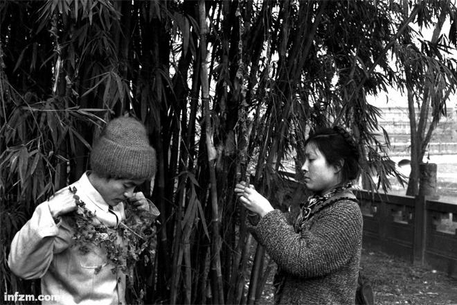 顾城悲剧“我不怕世界,可是怕你……”