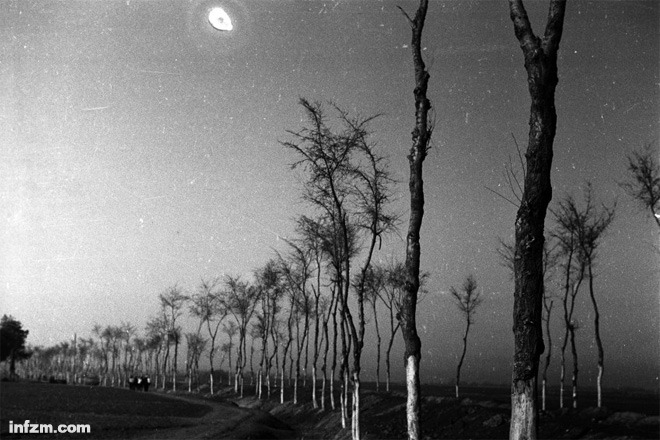 疮痍莫过眼神——1942-1944的河南
