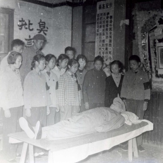 于向真：爸爸的遗愿——潘杨王事件起源内幕-人文百科